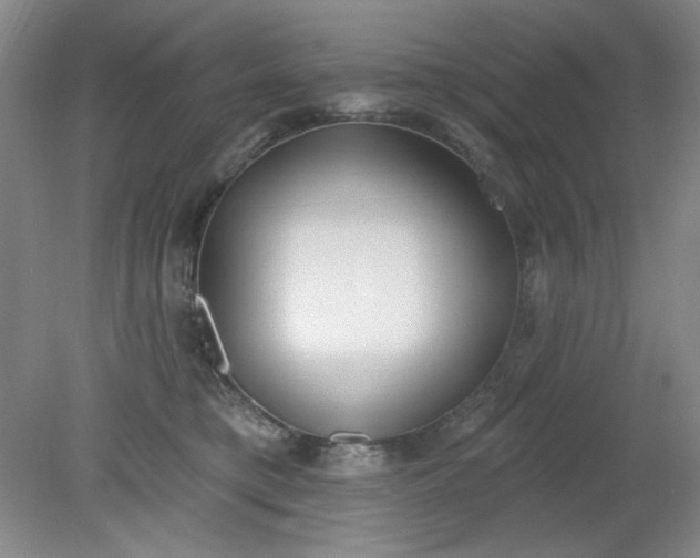 X0000079310421200612011821