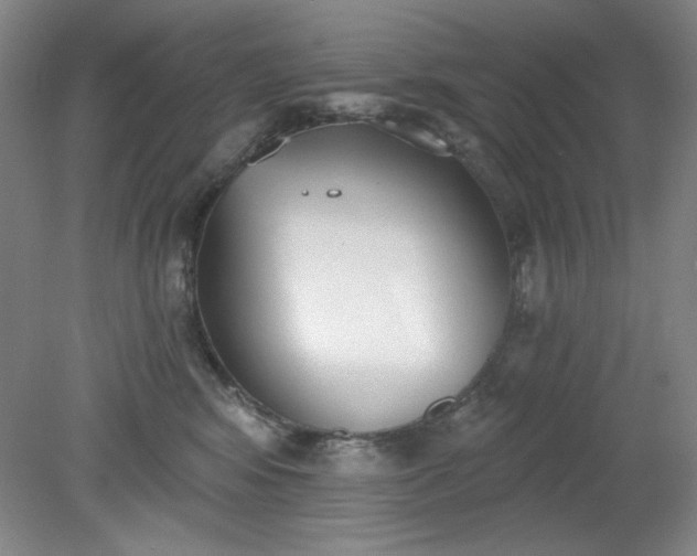 X0000079310424200612011821
