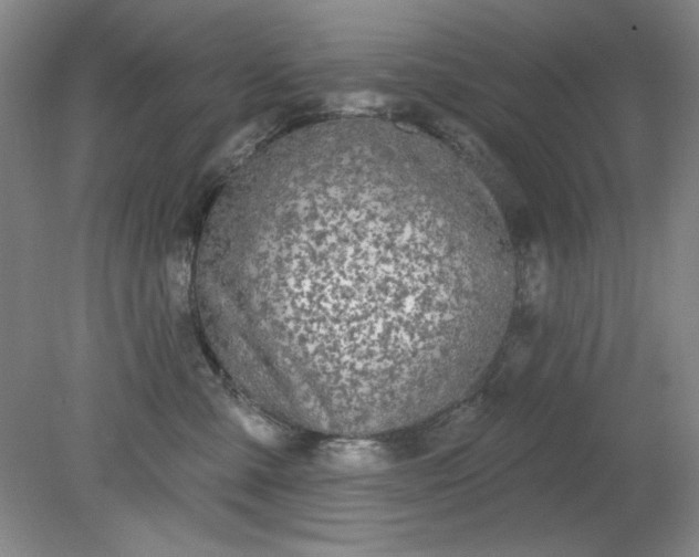 X0000079310427200612011821