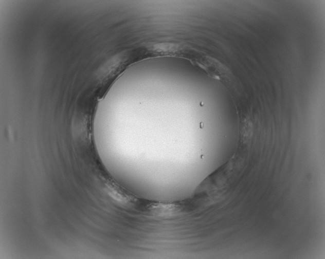 X0000079310428200612011821