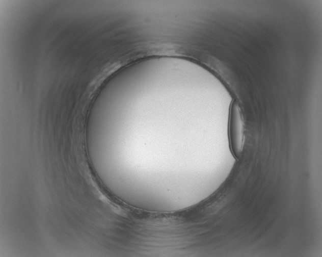 X0000079310433200612011820