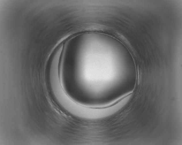 X0000079310435200612011820
