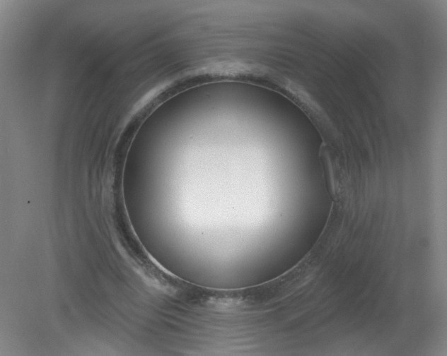 X0000079310440200612011820