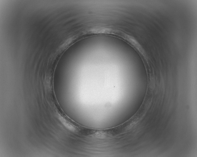 X0000079310441200612011820