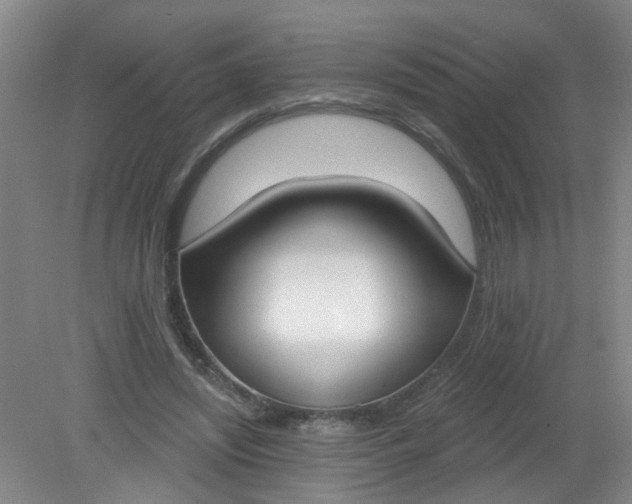X0000079310444200612011820