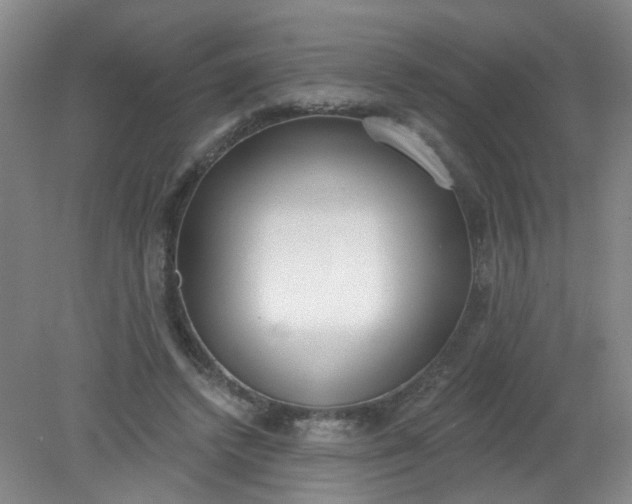 X0000079310448200612011820