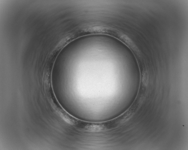 X0000079310449200612011820