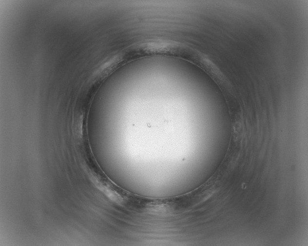 X0000079310454200612011820