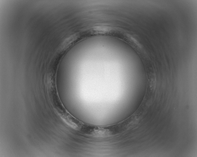 X0000079310455200612011820