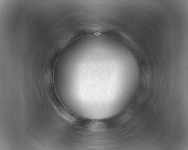 X0000079310459200612011821