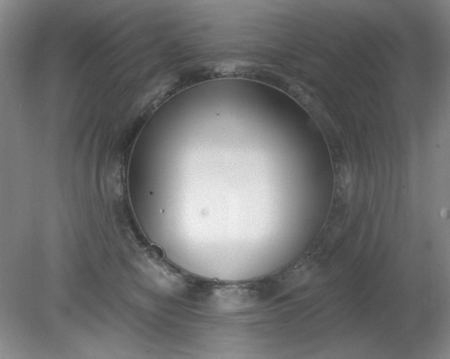 X0000079310470200612011821