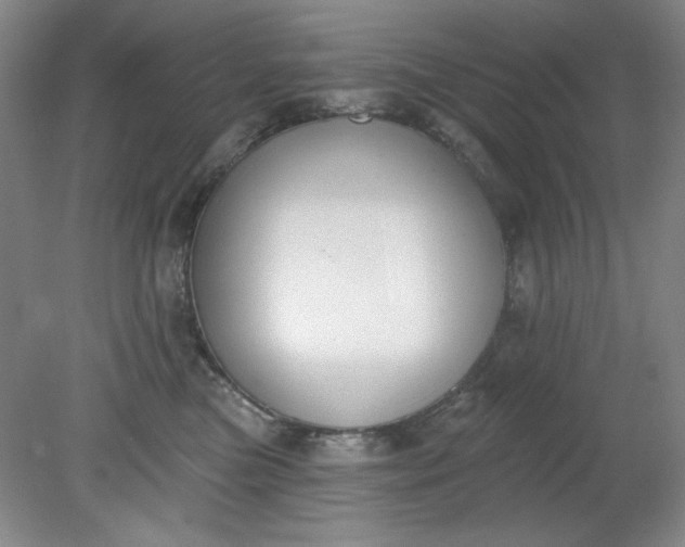 X0000079310473200612011821