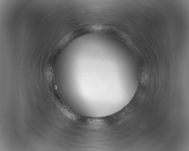X0000079310476200612011821