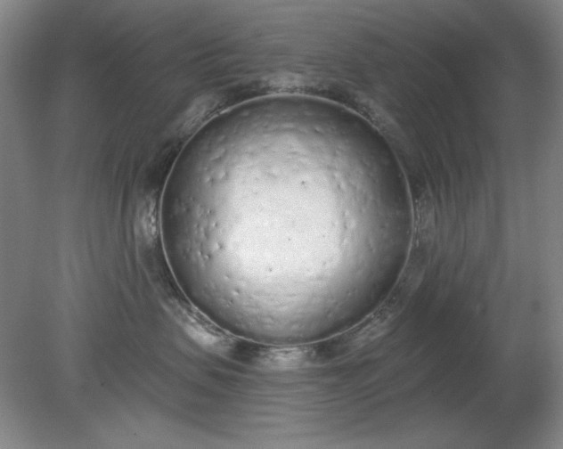 X0000079310479200612011821