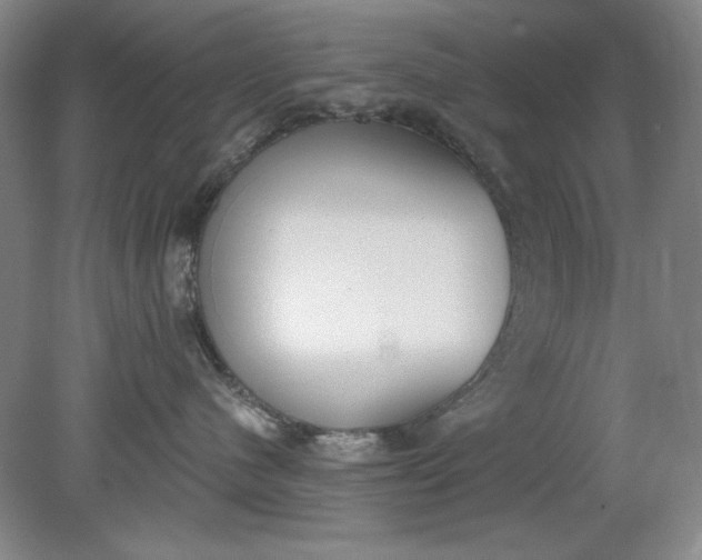 X0000079310480200612011821