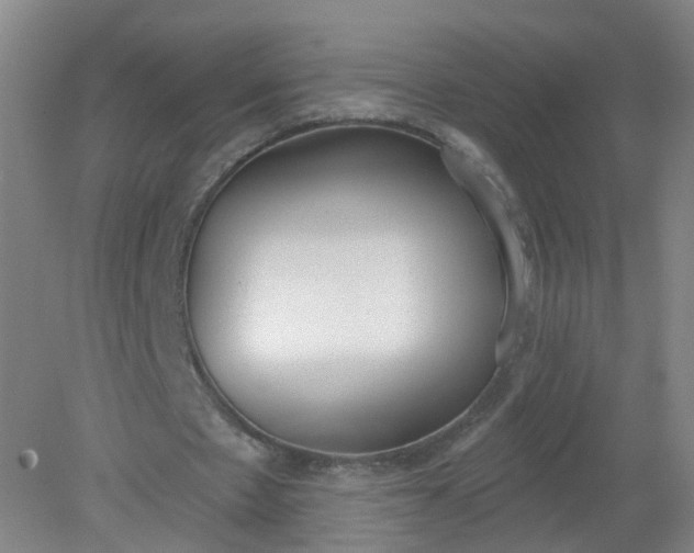X0000079310481200612011820