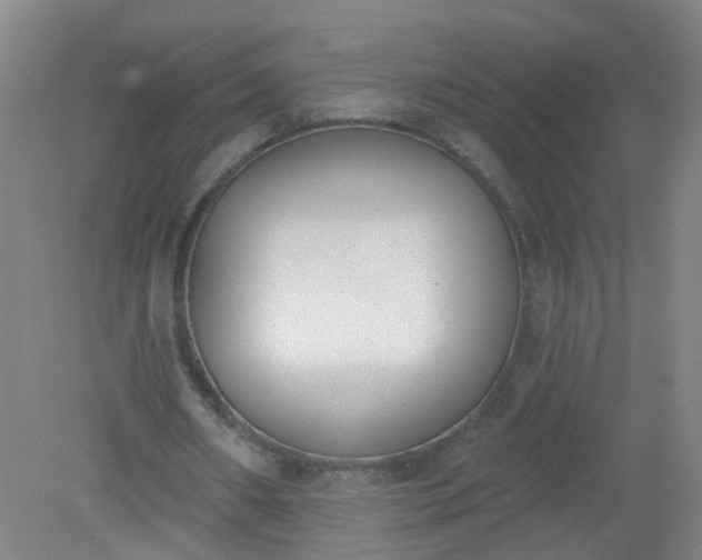 X0000079310482200612011820