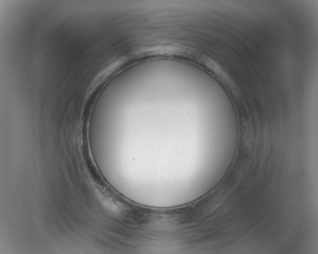 X0000079310486200612011820