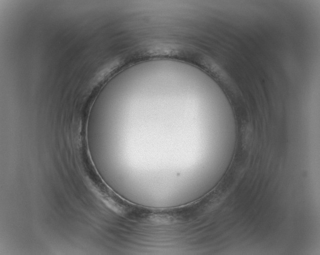 X0000079310490200612011820