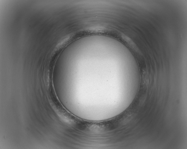 X0000079310494200612011820
