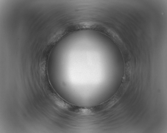 X0000079310509200612011820