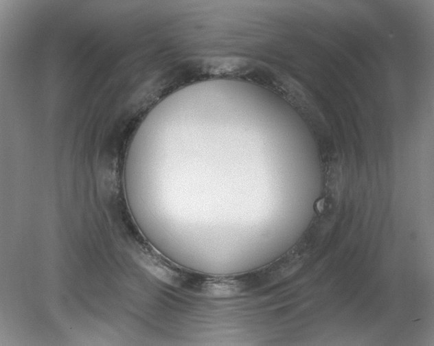 X0000079310510200612011820