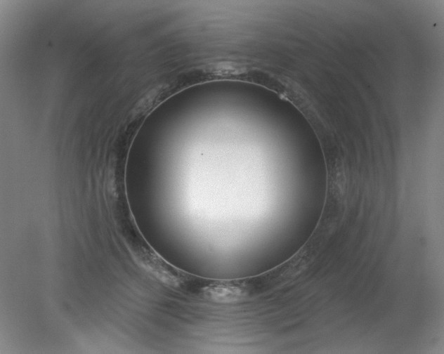 X0000079310512200612011820