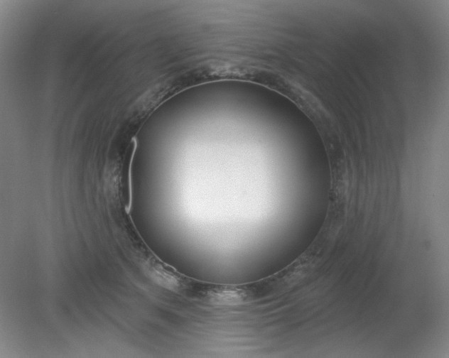 X0000079310513200612011820