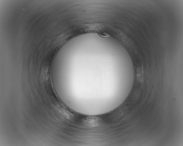 X0000079310514200612011820