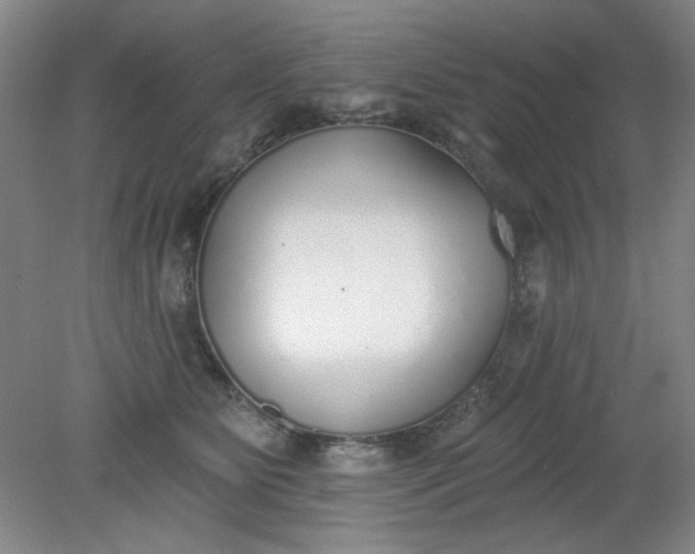 X0000079310515200612011820
