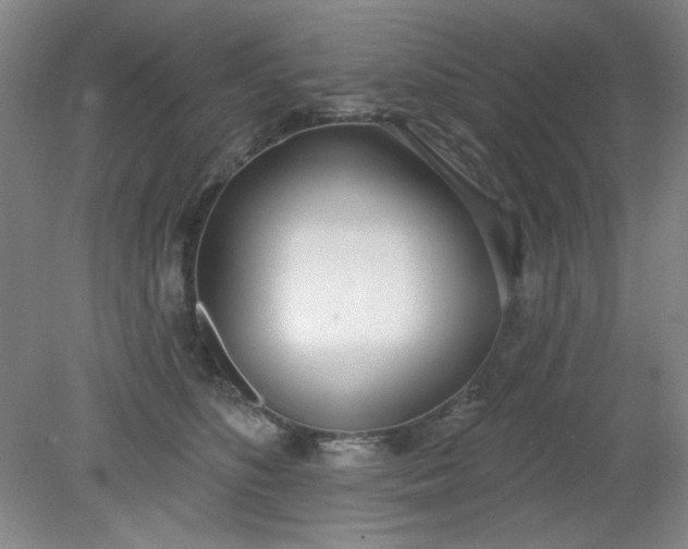 X0000079310516200612011820