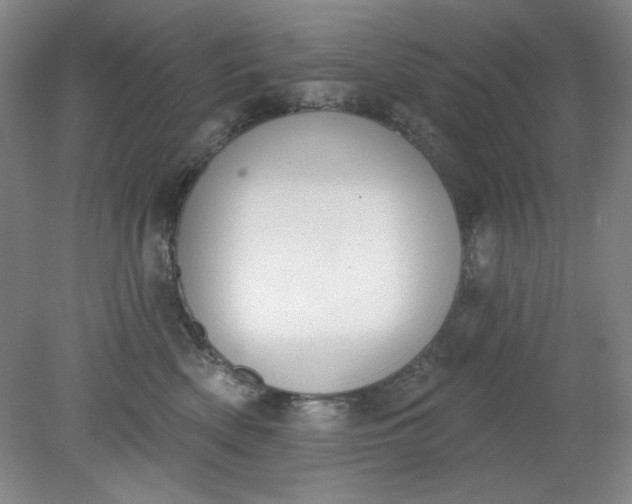 X0000079310522200612011819