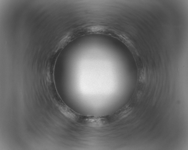 X0000079310524200612011819