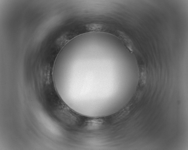 X0000079310525200612011819