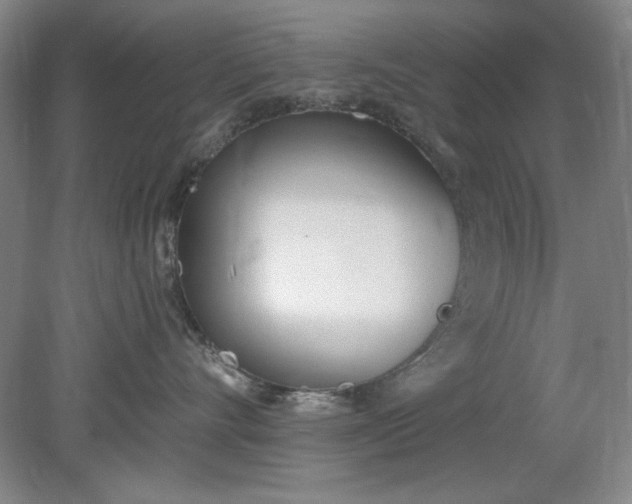 X0000079310528200612011819