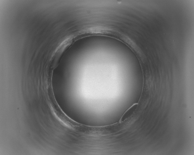X0000079310530200612011819
