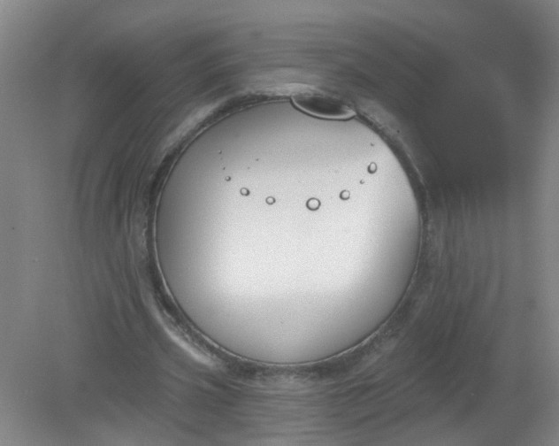 X0000079310533200612011819