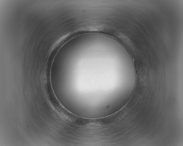 X0000079310536200612011819