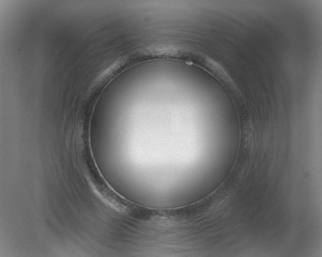 X0000079310538200612011819