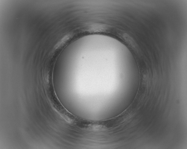 X0000079310539200612011819