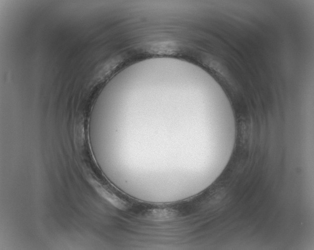 X0000079310541200612011819