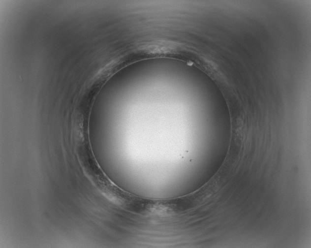 X0000079310547200612011819