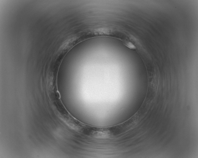 X0000079310548200612011819