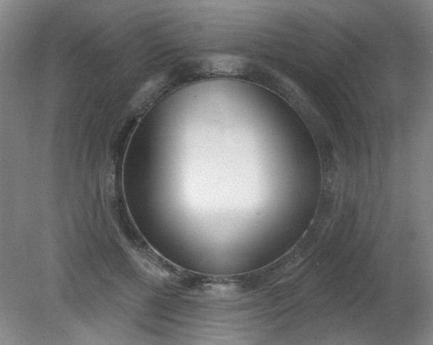X0000079310552200612011819