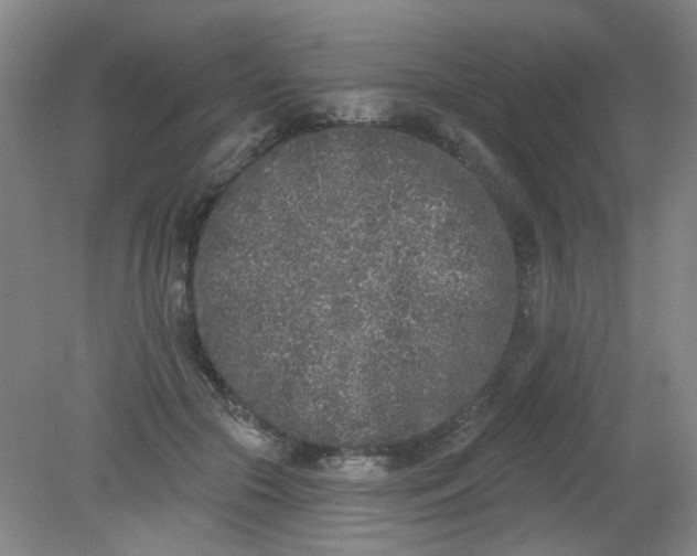 X0000079310553200612011819