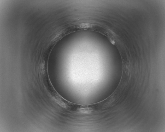 X0000079310556200612011819