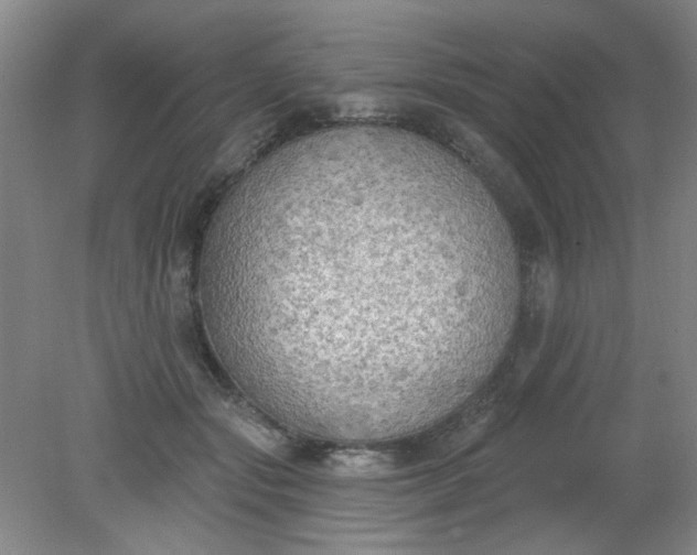 X0000079310557200612011819