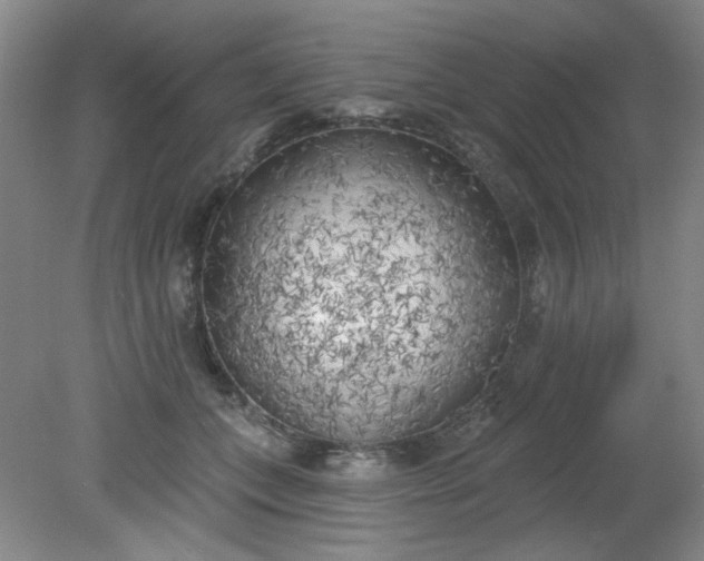X0000079310559200612011819