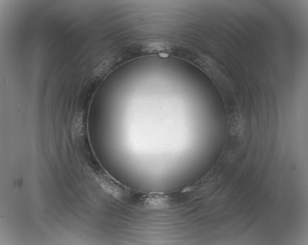 X0000079310560200612011819