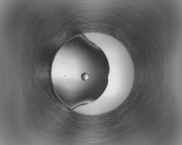 X0000079310561200612011819